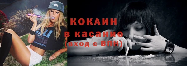 спайс Арсеньев