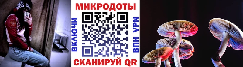 Псилоцибиновые грибы GOLDEN TEACHER  Звенигово 